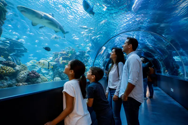 小朋友在釜山水族館欣賞海洋生物，適合作為雨天室內親子景點。