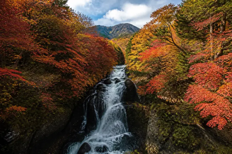 奧日光龍頭瀑布兩側紅葉夾道的秋色