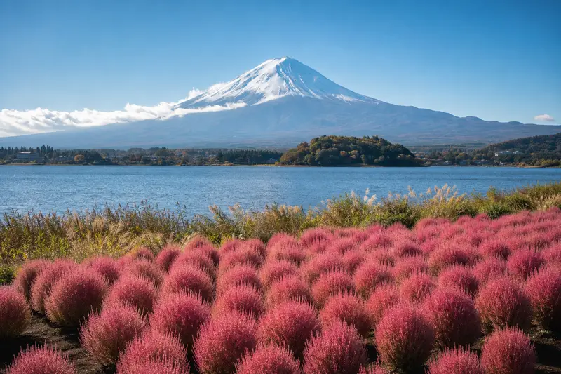 河口湖北岸大石公園正對富士山視角