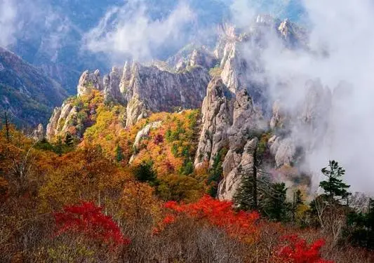 大青峰頂部率先轉紅，成為秋季紅葉的第一道信號