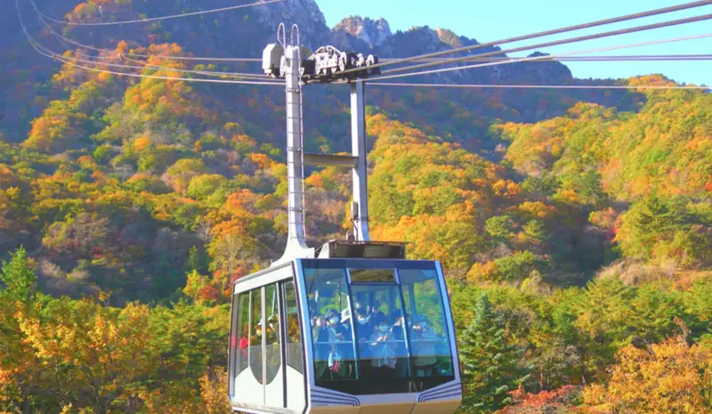 權金城纜車：不用爬也能看高處紅葉