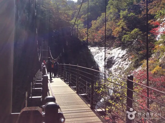 溪谷步道兩旁楓紅倒映水面，是飛龍瀑布路線最療癒的畫面