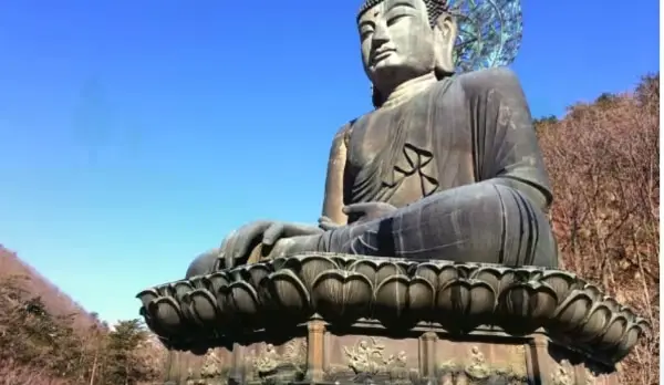 溪谷步道兩旁楓紅倒映水面，是飛龍瀑布路線最療癒的畫面