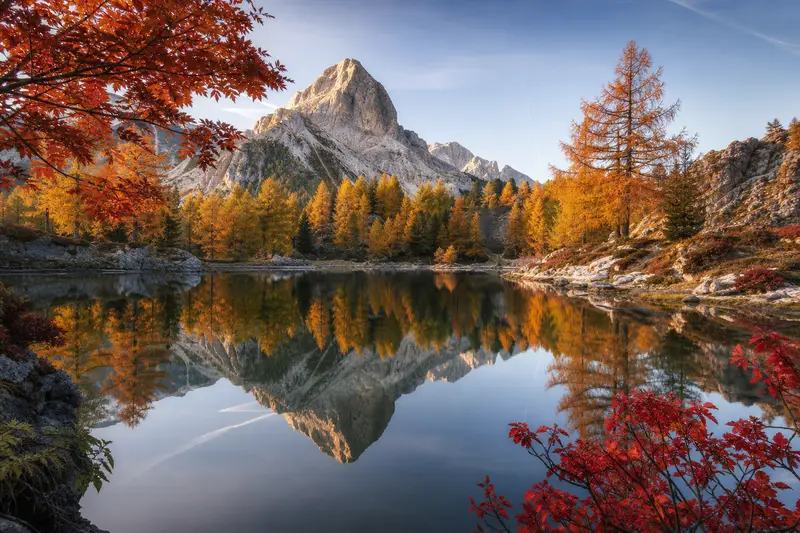 中禪寺湖紅葉與金黃落葉松倒影