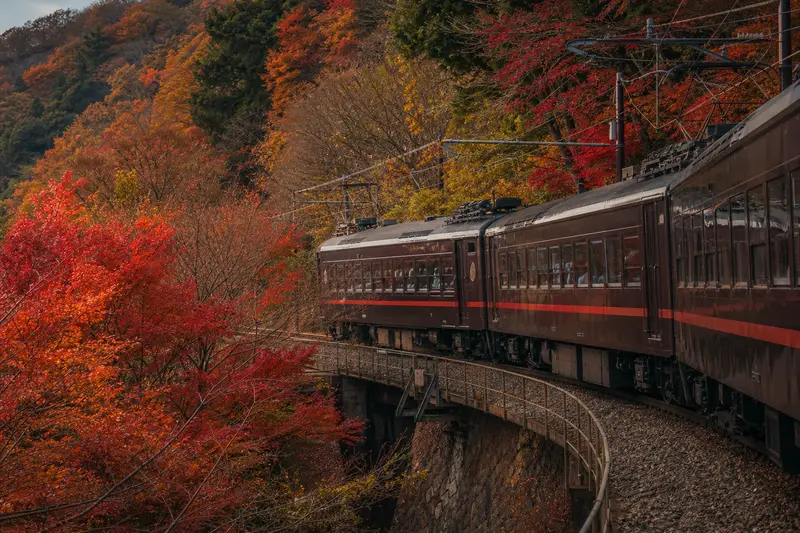 箱根登山鐵道穿越紅葉隧道