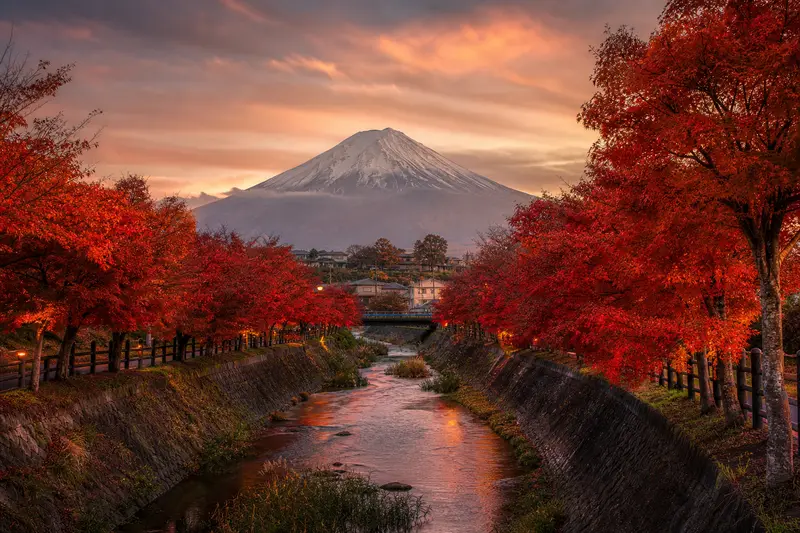 河口湖紅葉迴廊夕陽與遠方富士山