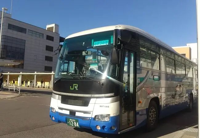 國道 103 號八甲田路段的秋日山路，兩側是轉色的山毛櫸林
