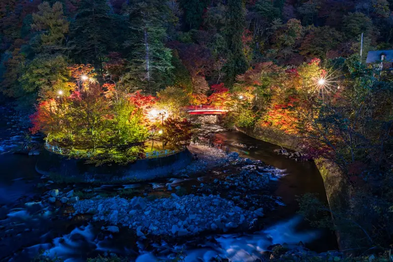 中野紅葉山的夜間點燈，楓紅在燈光下映在水面上