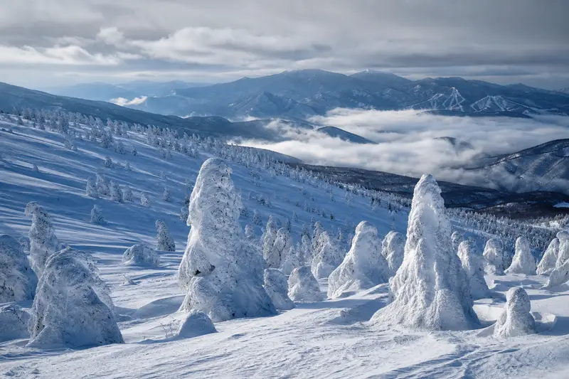 日本東北藏王山區覆滿冰雪的樹冰景觀