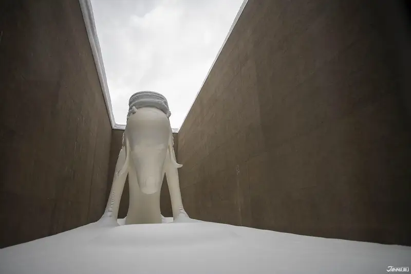 展示室內隔著玻璃俯瞰雪中的青森犬白色雕塑