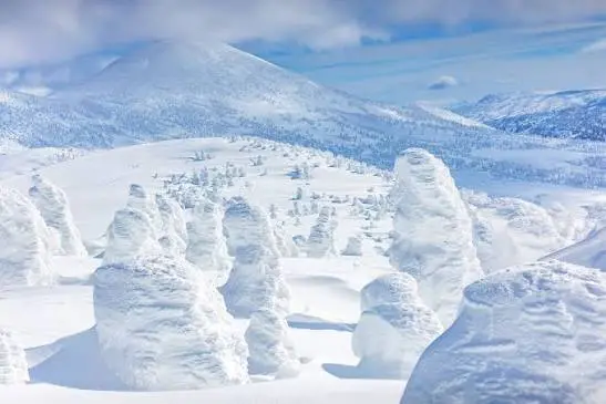 八甲田山頂公園駅一帶的樹冰群，白色樹冰佇立雪原