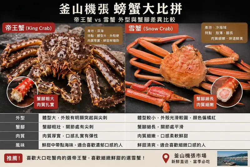 釜山機張螃蟹帝王蟹與雪蟹並排比較，蟹腳與外型差異