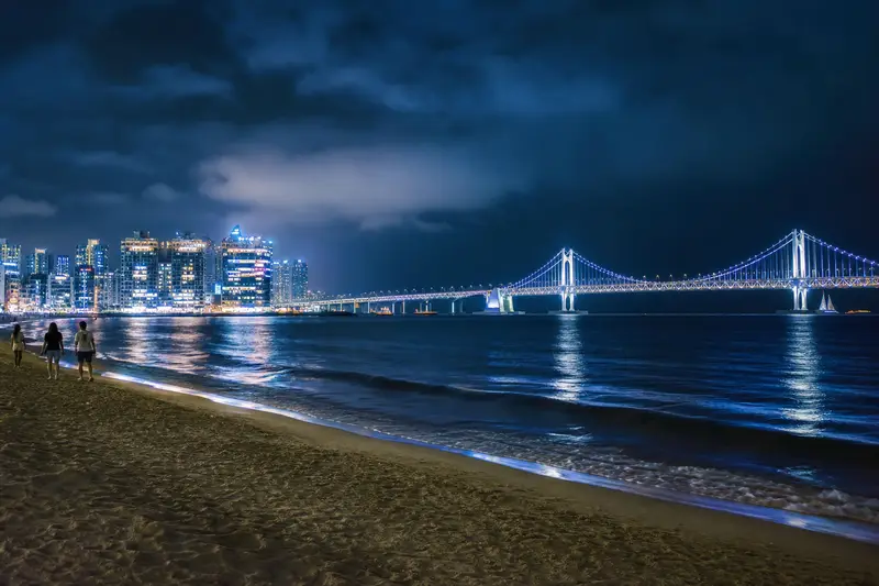 廣安大橋夜景