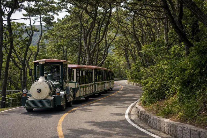 太宗台園區遊園列車穿過綠意森林道路，適合節省步行體力。