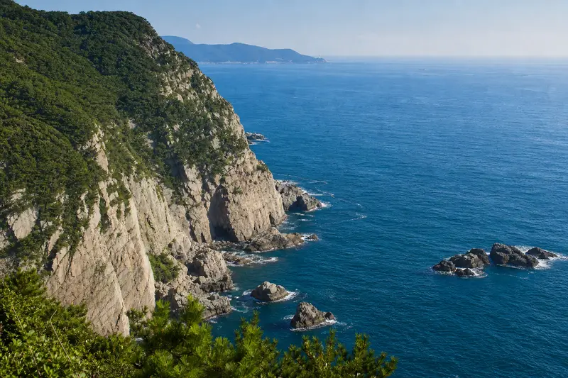 釜山太宗台海岸斷崖與藍色海景，是賞花後順遊的經典景色。