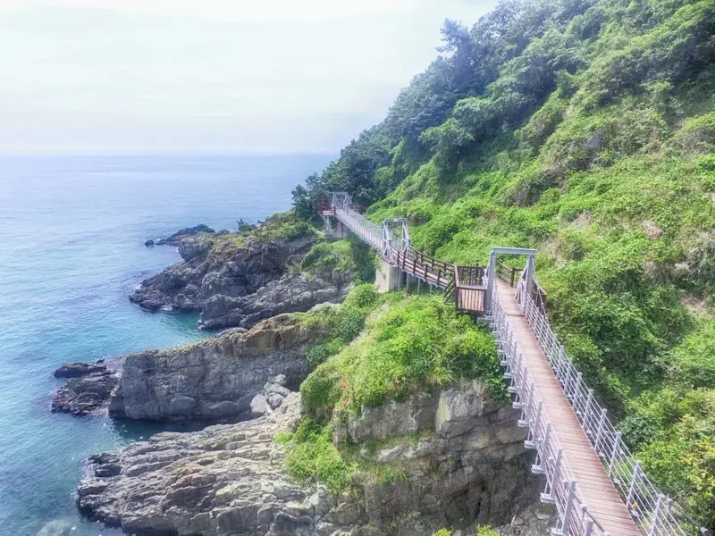 二妓台海岸散步路的礁石海岸與步道