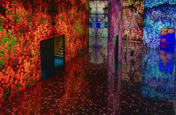 釜山影島新地標！世界最大規模 ARTE MUSEUM 沉浸式藝術館攻略