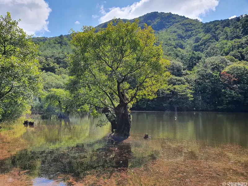 青松周王山國立公園與周山池水面倒影