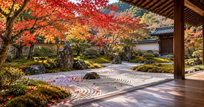 光明禪寺苔庭與枯山水上的紅葉