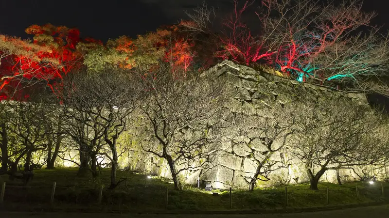 福岡城跡石垣化為 teamLab 沉浸式光藝術的夜景