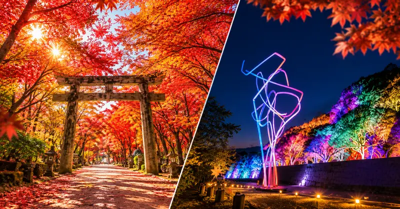 福岡秋冬這樣玩一天：白天太宰府賞楓，晚上福岡城看 teamLab 光之祭