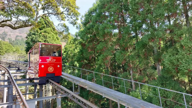 英彥山斜坡車沿著杉木林山坡行駛，車窗外是綠意