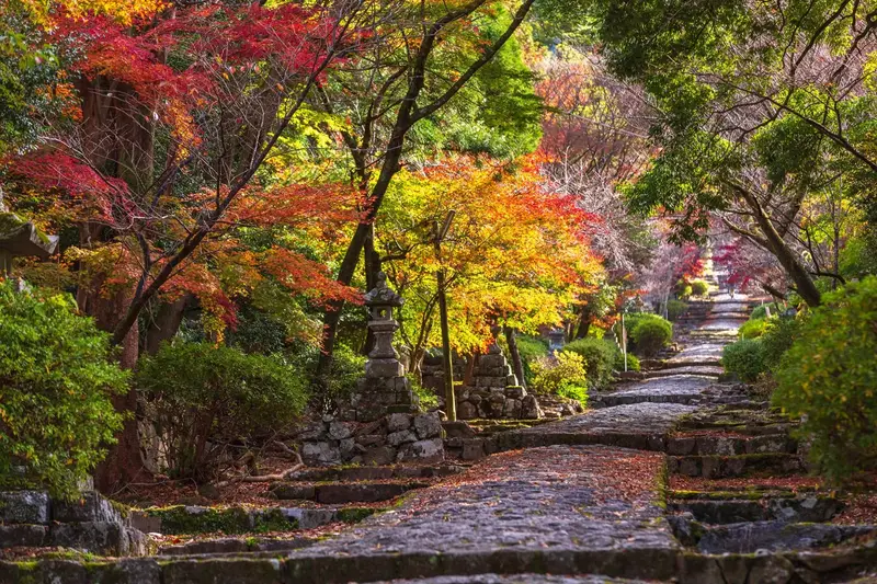 英彥山表參道大門筋的楓葉隧道，秋日紅葉罩滿石段