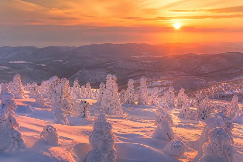八甲田樹冰在夕陽下染成暖色的雪原全景