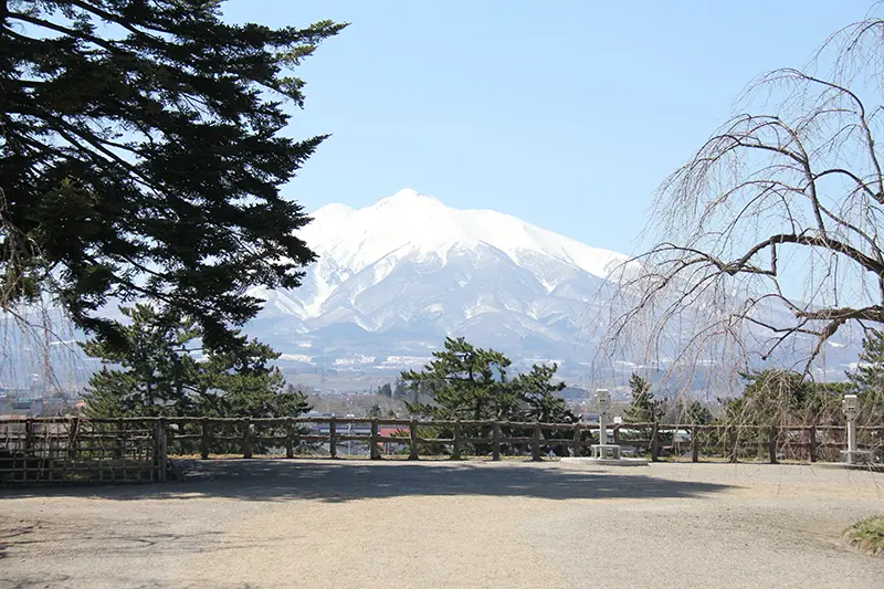 弘前城本丸展望遠眺覆雪的岩木山，前景是雪原與松樹