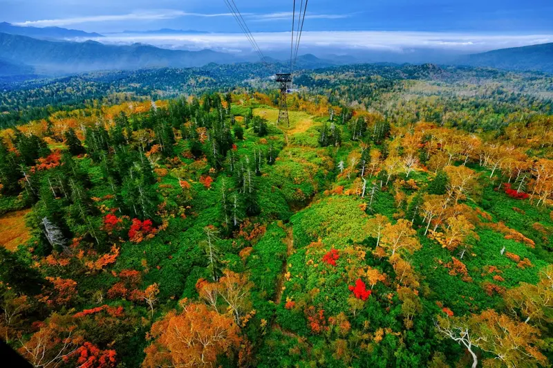 旭岳山體與山麓的紅葉、噴氣孔白煙，遠景為纜車