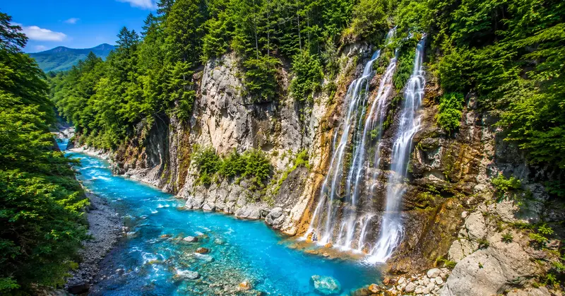 白鬚瀑布從斷崖縫隙湧出，落入下方湛藍的美瑛川（Blue River）