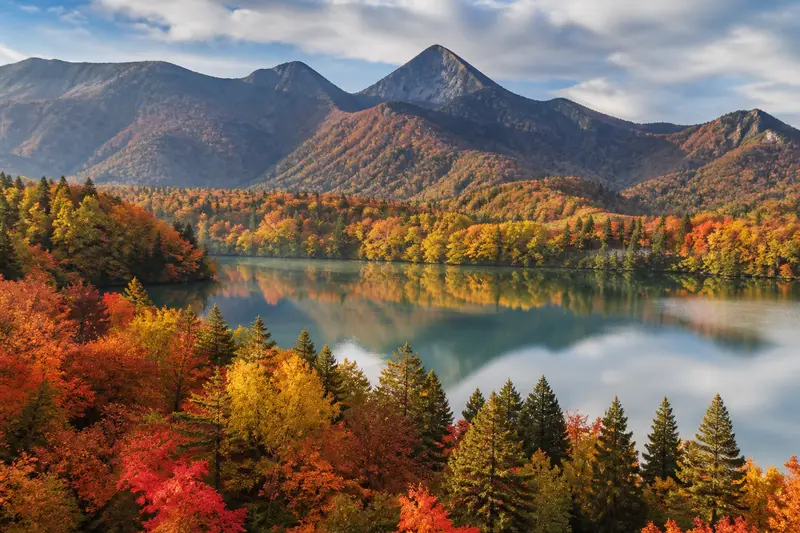北海道賞楓總覽：紅葉前線從 9 月道北到 11 月道南，一表追楓不撲空