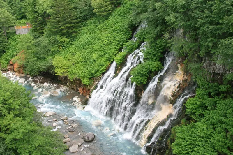 美瑛青池的夢幻藍水面與枯木，四周無大眾運輸、需開車或包車前往
