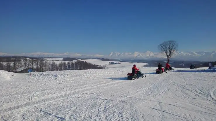 美瑛丘陵雪原上的孤樹剪影