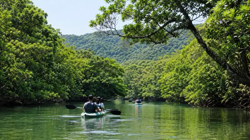 旅人在西表島紅樹林河道划獨木舟體驗生態旅行