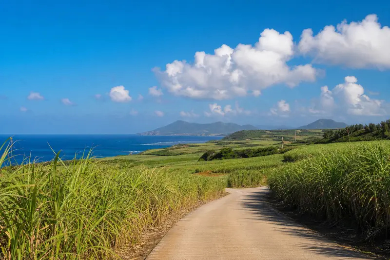 小濱島甘蔗田道路與遠方海景的悠閒離島風光