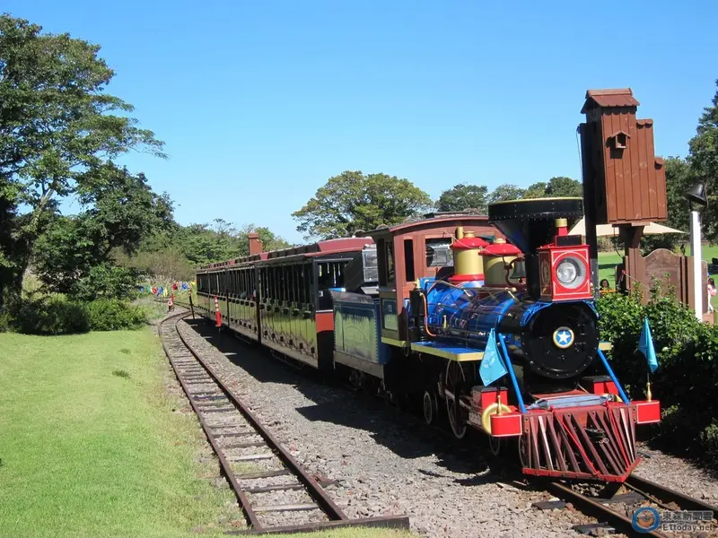 Eco Land 復古森林小火車行駛過湖上木橋