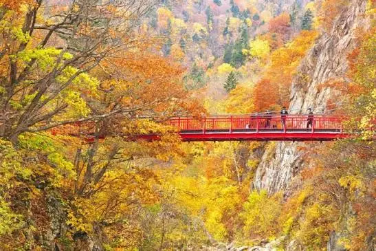 定山溪二見吊橋，鮮紅橋身橫跨溪谷，兩岸紅葉與清澈溪水