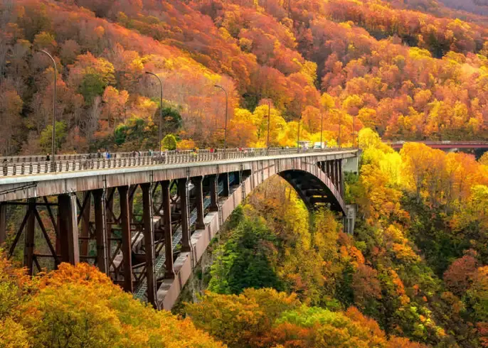 八甲田山麓的紅葉與蜿蜒山路，鐵路無法抵達的青森內陸景色