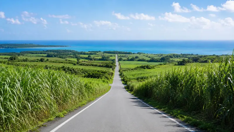 小濱島甘蔗田道路與遠方海景展現悠閒小島節奏