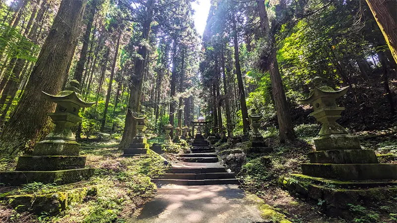 上色見熊野座神社布滿青苔的石燈籠參道，光線從杉林間灑落