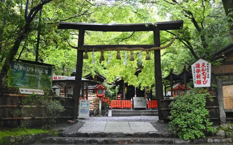 野宮神社黑木鳥居與青苔庭園