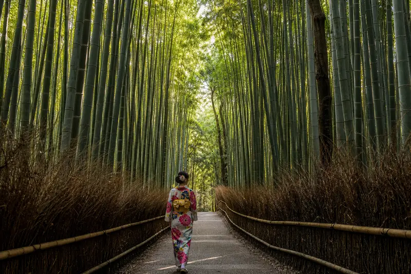 京都嵐山一日遊攻略｜渡月橋竹林天龍寺＋小火車（含最新票價）
