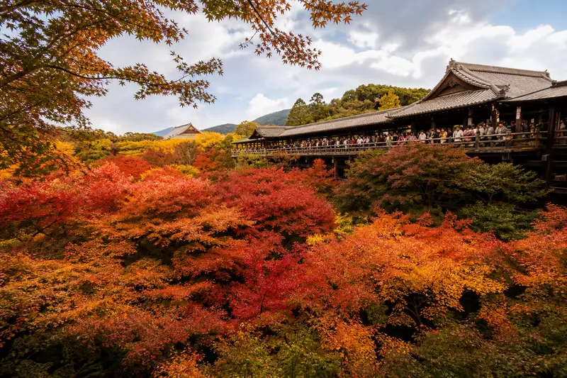 京都東福寺通天橋橫跨整片楓葉溪谷