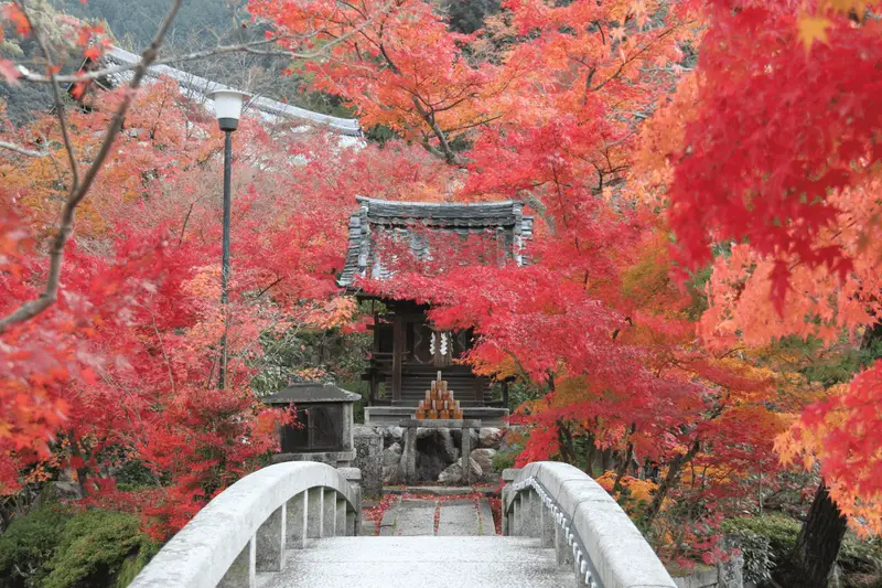 京都永觀堂（禪林寺）