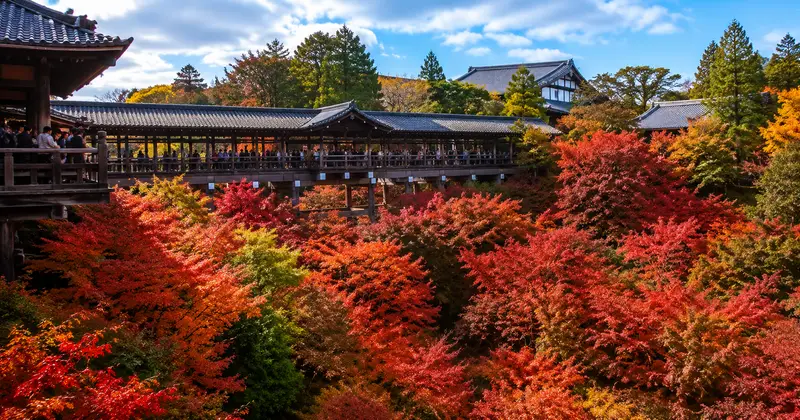 京都東福寺通天橋橫跨整片楓葉溪谷