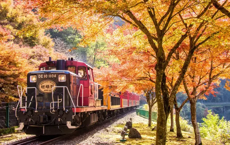 嵐山渡月橋與背後嵐山山林轉紅的秋景