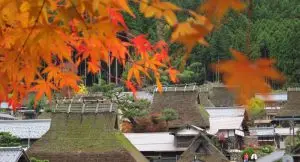 京都美山茅葺聚落茅草屋與秋日紅葉遠山