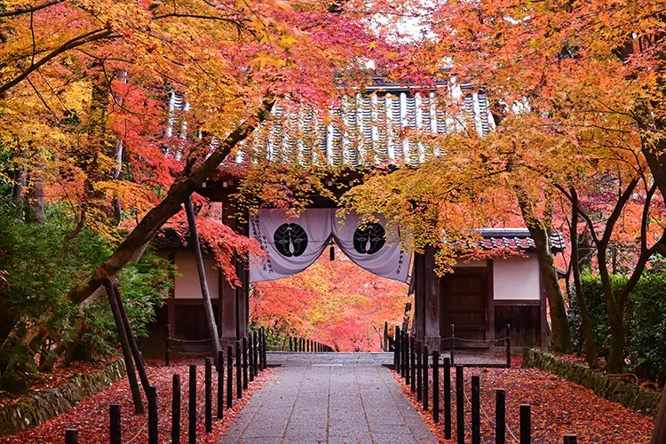 大原三千院
