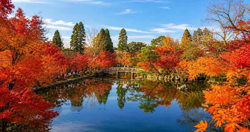 【關西賞楓2026】京都嵐山、美山、永觀堂紅葉時間+包車路線攻略